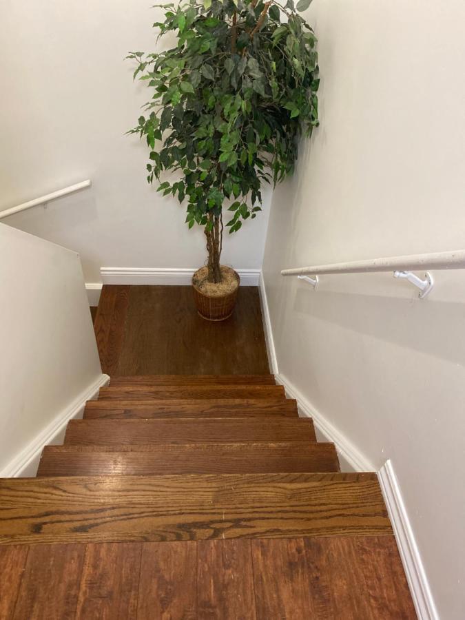 Aiden Mansion Apartment London Ngoại thất bức ảnh
